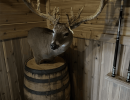 kentucky trophy deer llc